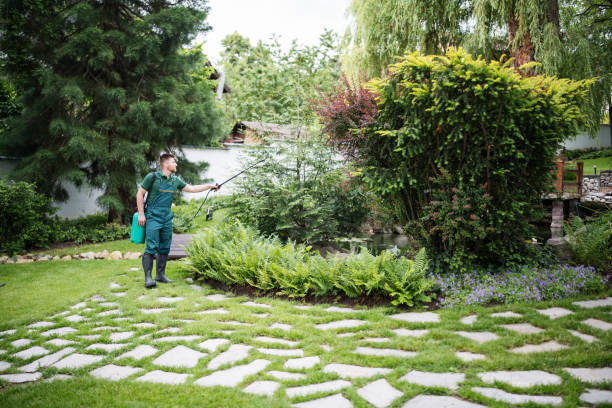 Reliable Fivepointville, PA Pest Control Solutions