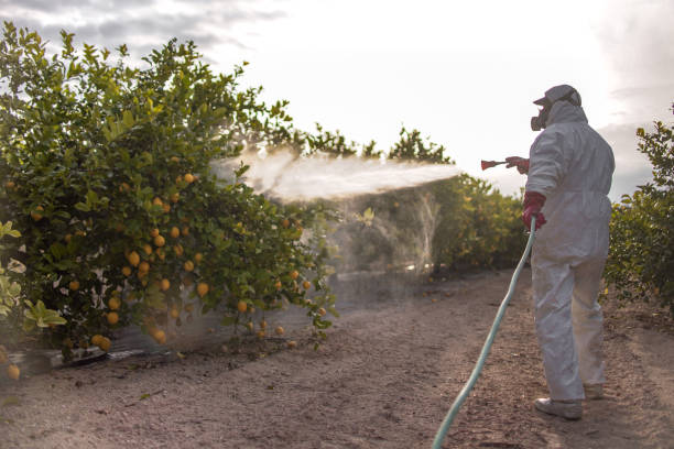 Best Pest Control Near Me  in Fivepointville, PA