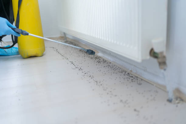 Best Affordable Pest Control Services  in Fivepointville, PA