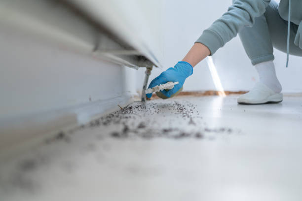 Best Affordable Pest Control Services  in Fivepointville, PA