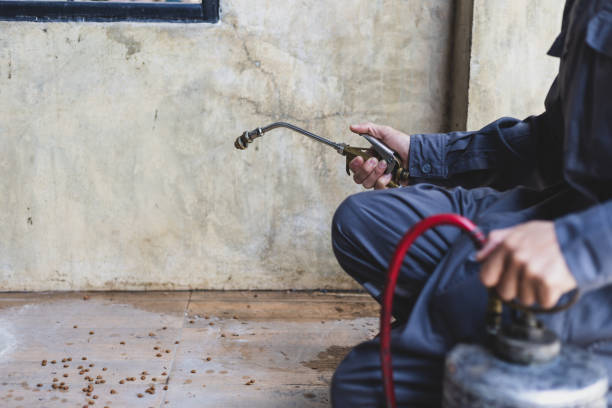 Pest Prevention Services in Fivepointville, PA